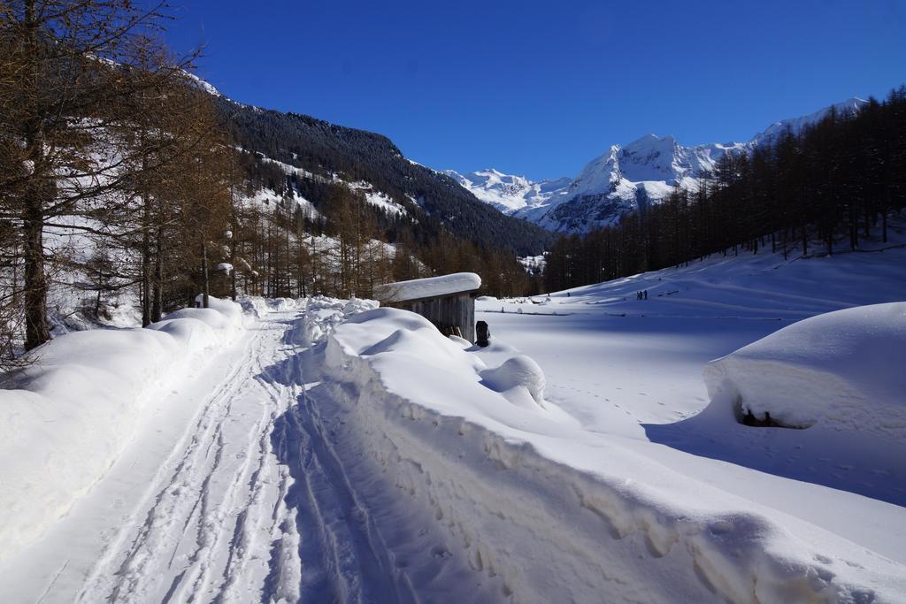 Hotel Alpenrast Riva di Tures Esterno foto